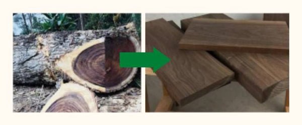 Découvrir les avantages du bois massif