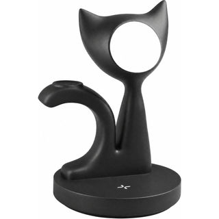 Chaton — packshot blanc