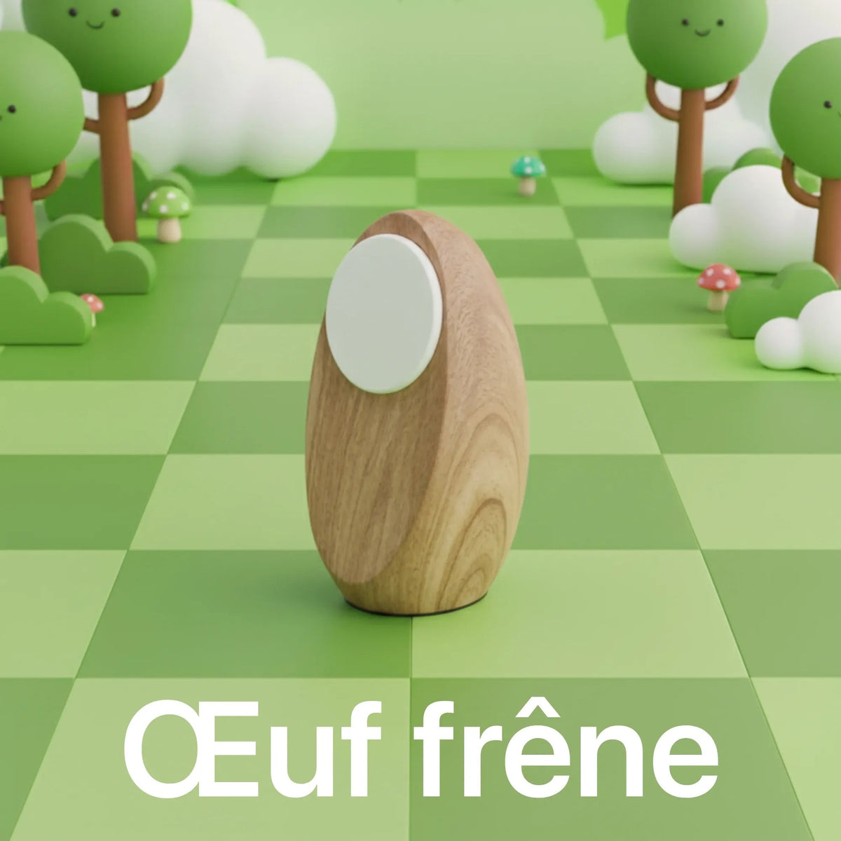 Chargeur iPhone